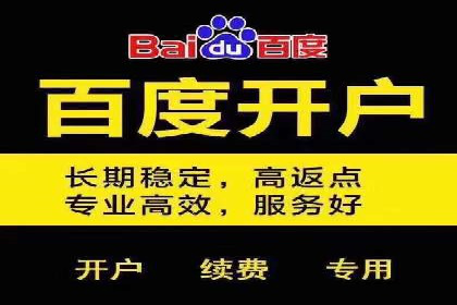 竞价广告的创意与执行：某快消品的营销突破
